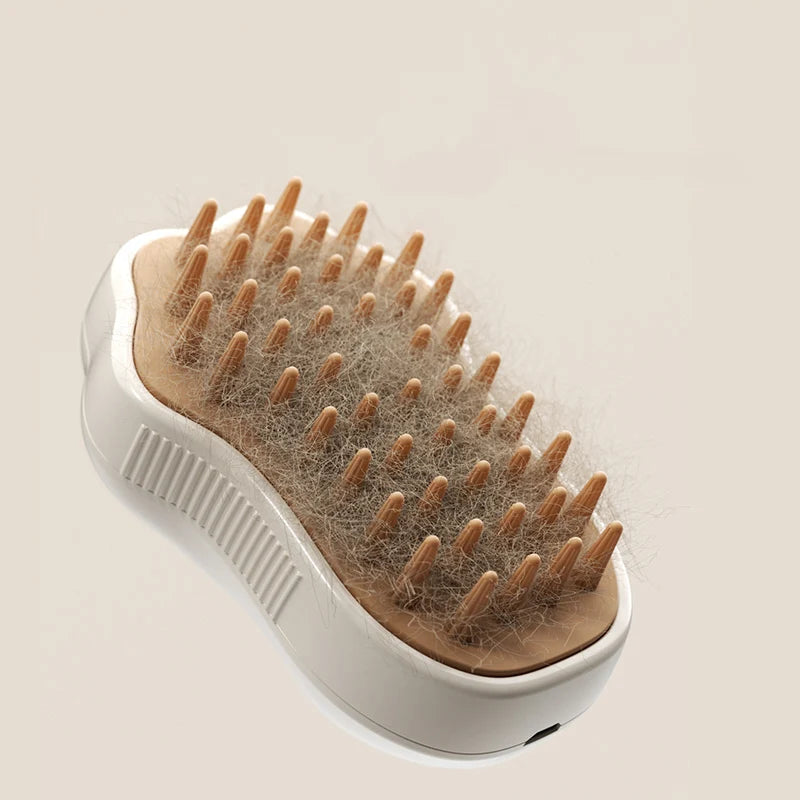 Pet Brush Electric Spray & Hair Removal